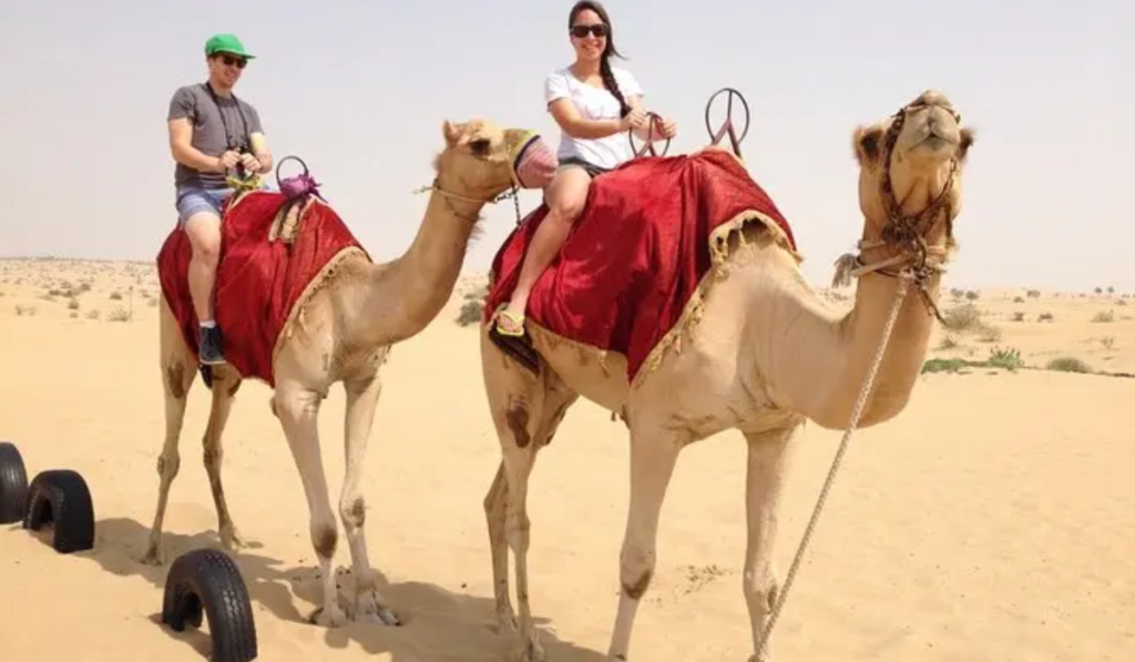 Camel-Riding-Safari