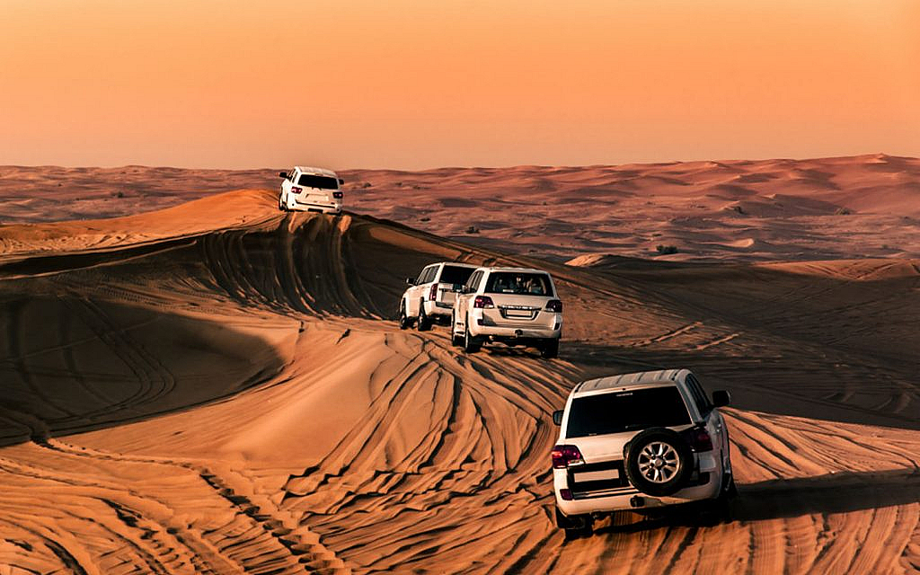 Dune Bashing: A Thrilling Ride Across the Sands