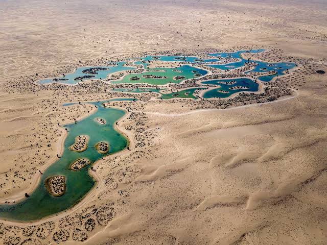 Al Qudra Lakes 🏞️⛺💰: