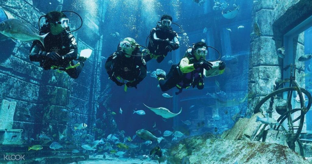 Dive into Dubai's Underwater World: Exploring Aquariums and Diving Sites