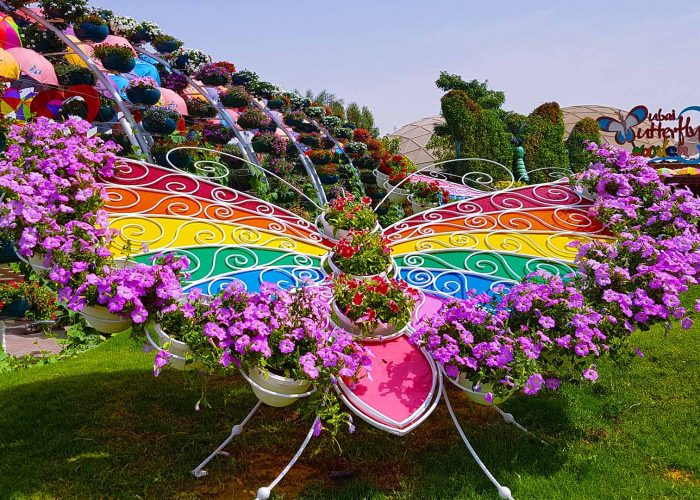Dubai Butterfly Garden: